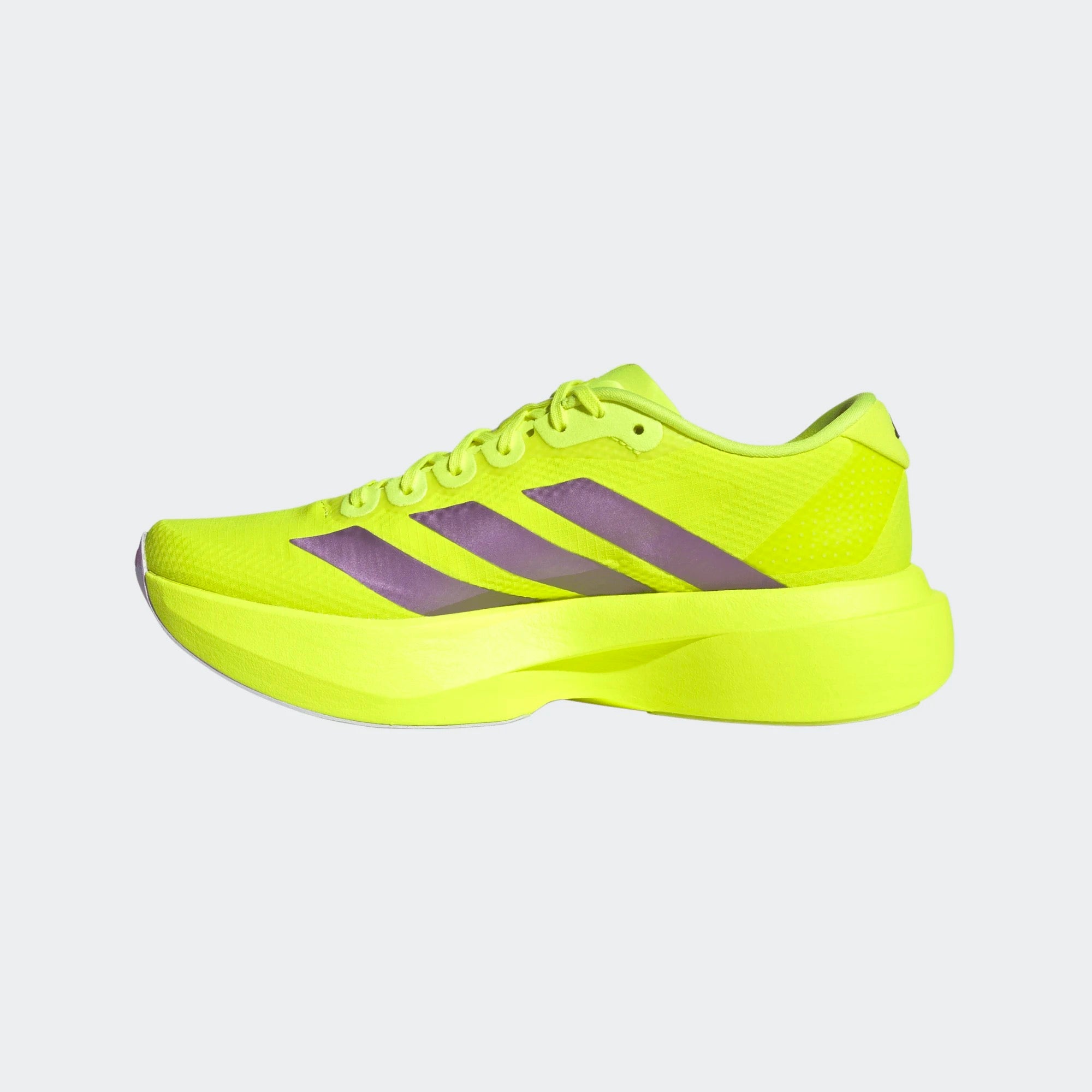 Women's Adizero EVO SL (SYELLO/AURPLU/POWPLU) — TC Running Co