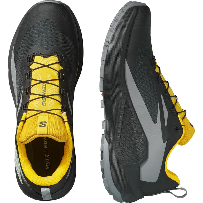 Men's Genesis GTX (Black/Sedona Sage/Incaberry)