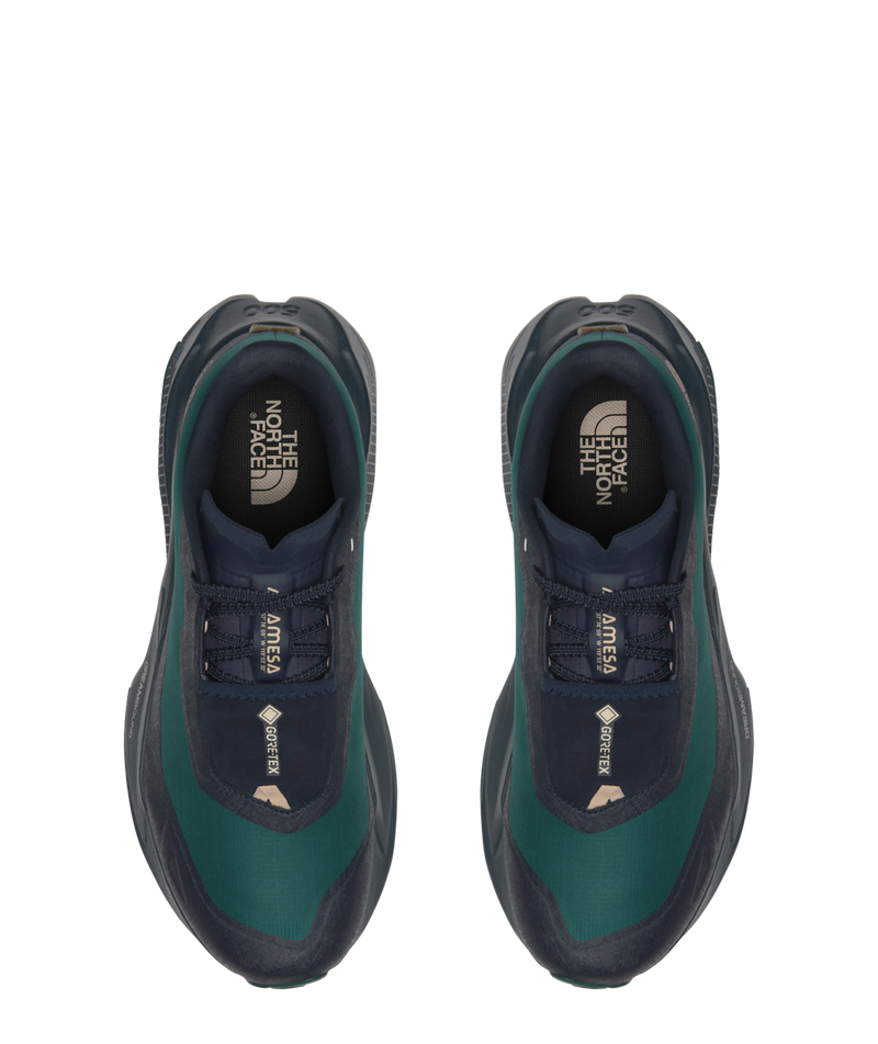 Men's Altamesa 500 V2 GORE-TEX (TL2 - Midnight Sky/Pacific Teal)