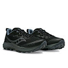 Women's Peregrine 14 GTX (50 - Black/Carbon)