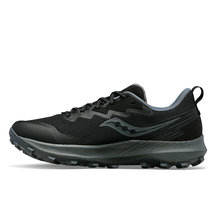 Women's Peregrine 14 GTX (50 - Black/Carbon)