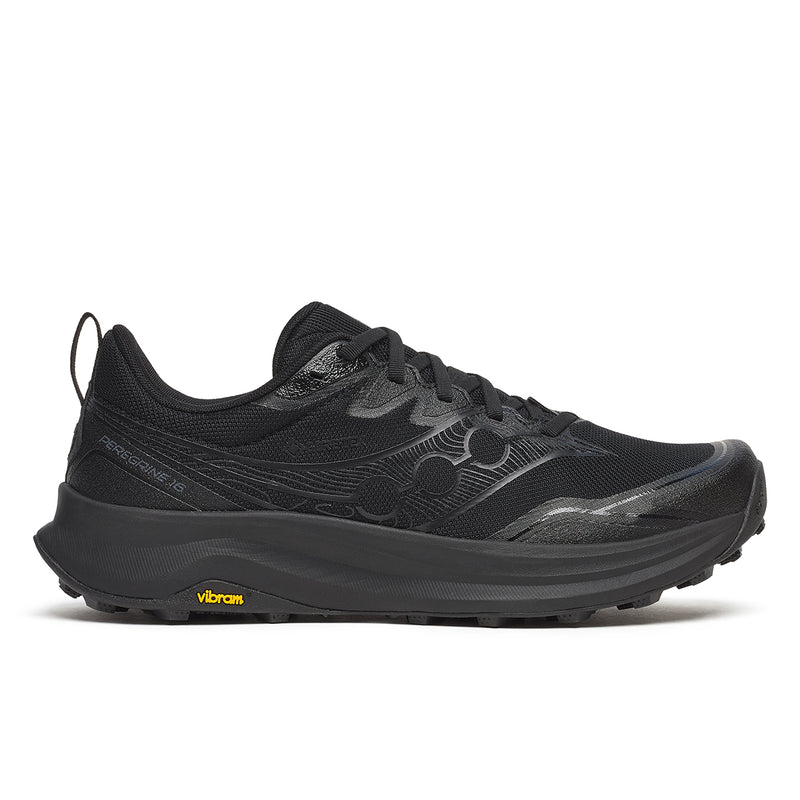 Men's Peregrine 16 GTX (102 - Triple Black)