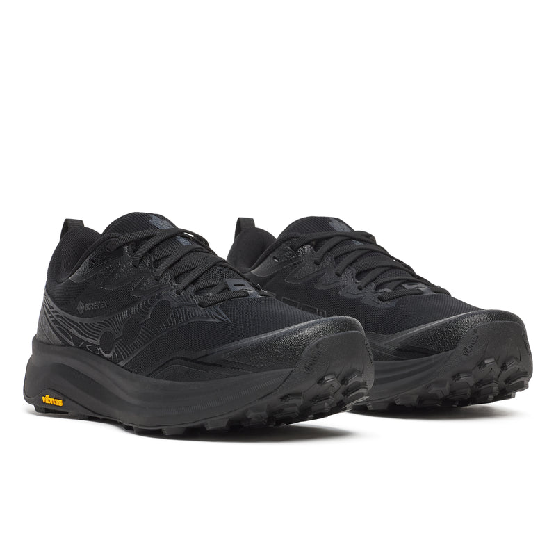 Men's Peregrine 16 GTX (102 - Triple Black)