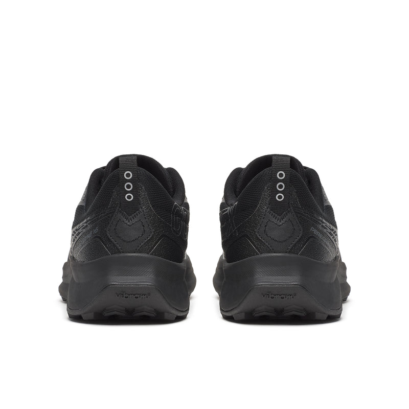 Men's Peregrine 16 GTX (102 - Triple Black)