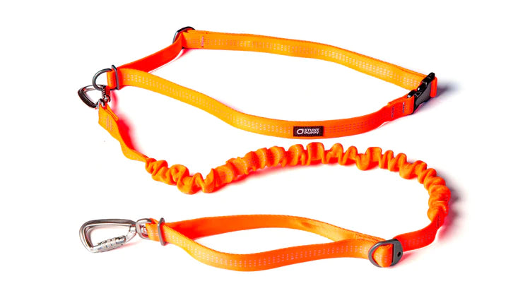 Stunt Runner™ Hands-Free Leash