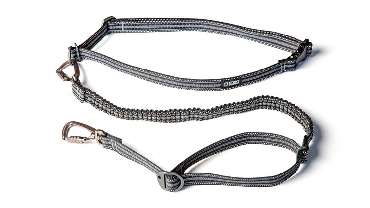 Go Dog Glo™ Stunt Runner™ Hands-Free Leash