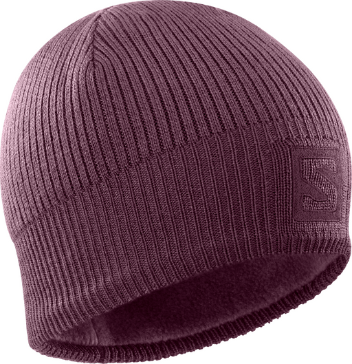 Salomon sales logo beanie